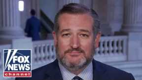 Ted Cruz blasts Democrats' 'rank hypocrisy' surrounding COVID positive migrants