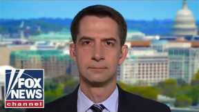 Tom Cotton: Coca Cola should be ashamed of their 'disgraceful bootlicking' of China