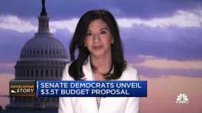 Senate Democrats unveil $3.5 trillion budget proposal