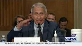 Dr. Anthony Fauci: Senator Paul, you do not know what you are talking about...