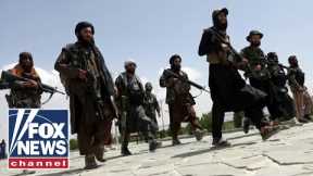 Taliban previously offered to let the US secure Kabul: report