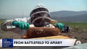 From battlefield to beekeeping, and another way of fighting PTSD