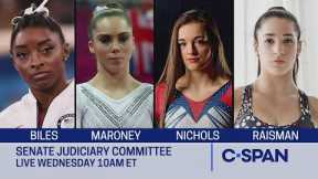 Simone Biles and Other Olympians Testify on Larry Nassar Sexual Assault Investigation