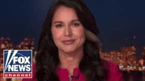 Tulsi Gabbard: There is an 'increasing feeling' we are 'losing our democracy'