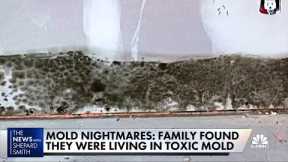 Toxic mold devastates family, causes myriad health problems