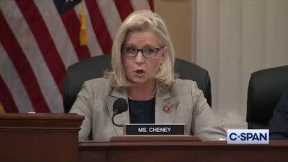 Rep. Liz Cheney Reads January 6th Texts from Fox News Hosts to Mark Meadows
