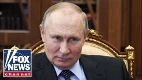 Putin following 'coldly-calculated strategy': Hoffman