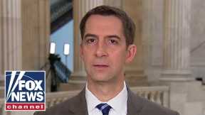 Tom Cotton rips Joe Biden: This is why he doesn't talk to press