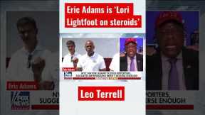 Leo Terrell destroys Eric Adams for ‘playing the race card’