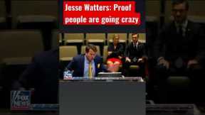 Watters cracks up watching ‘crazy’ guy trolling city council: 'nailed it'