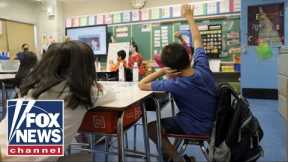 New Jersey to teach 2nd graders gender identity
