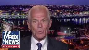 Peter Navarro: I'm collateral damage