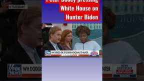 White House refusing to answer Peter Doocy’s Hunter Biden question #shorts
