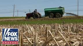 China's purchase of American farmland sparks concern