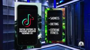 TikTok unveils new ratings system for videos