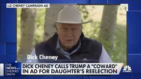 Dick Cheney does ad for his daughter's congressional campaign in Wyoming