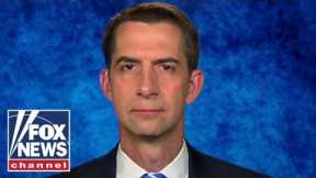 Cotton: Dictators can 'smell the weakness' from Biden