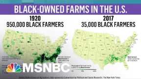 Black Farmers Sue Over Debt Relief Program