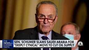 Democrats rally against Saudi Arabia after OPEC+ slashes oil production