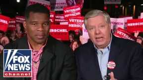 Herschel Walker on Georgia Senate race: We're going to win this election