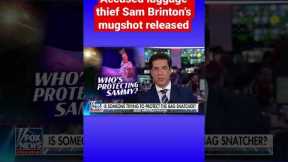 Jesse Watters: We get the feeling someone is still protecting Sam Brinton #shorts