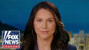 Tulsi Gabbard: Sam Bankman-Fried is being taken care of for having the 'right friends'