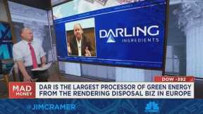 Darling Ingredients CEO on repurposing animal byproducts