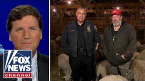 Tucker speaks with animal control officer who rescued sheep from slaughterhouse