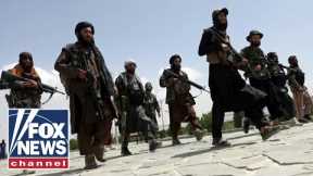 Taliban could be receiving U.S. tax dollars, special IG warns
