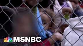 As many as 1,000 children separated from families by Trump are U.S.-born citizens: NYT