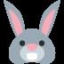 🐰