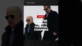Hunter Biden to plead guilty to federal charges