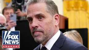 New Hunter Biden allegations are 'mind blowing': Rep. LaHood