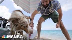 Miami residents struggle under extreme heat
