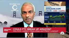 In a weird way it could be a good thing for Amazon shareholders: Dan Niles on antitrust suit