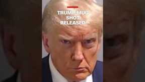 Trump mug shot released