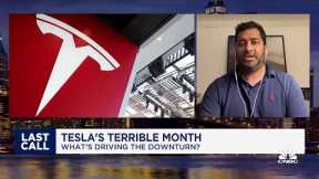 Tesla has managed slowdowns in China in the past, says RBC's Tom Narayan