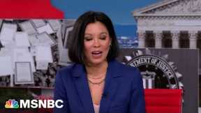 Understand More | Mishandling Classified Documents | MSNBC