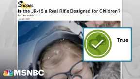'JR-15 for toddlers is a real thing': Illinois fights gun lobby to ban marketing guns to little kids