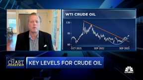 WTI Crude could pump to $90 after recent rebound, says Carter Worth