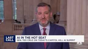 Senator Ted Cruz: Federal regulation of AI 'makes no sense at all'