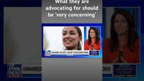 AOC and her friends pose a very real threat to democracy: Tulsi Gabbard