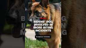 Bidens’ dog involved in more biting incidents