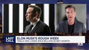 I don't understand Elon Musk's reluctance to invest in Tesla advertising, says Ross Gerber