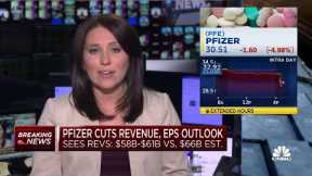 Pfizer warns of delayed Paxlovid commercialization and lower Covid demand