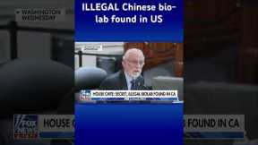 Congress reveals SHOCKING pathogens found in Chinese bio-lab in US #shorts