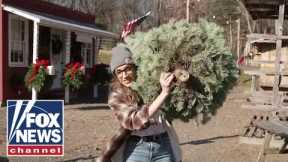 WATCH: Kat Timpf cuts down a Christmas tree