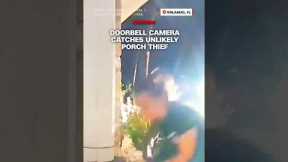 Doorbell camera catches unlikely porch thief