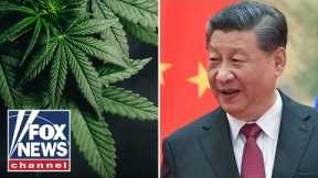This is another tactic from China to ‘destabilize’ America: Former DEA official