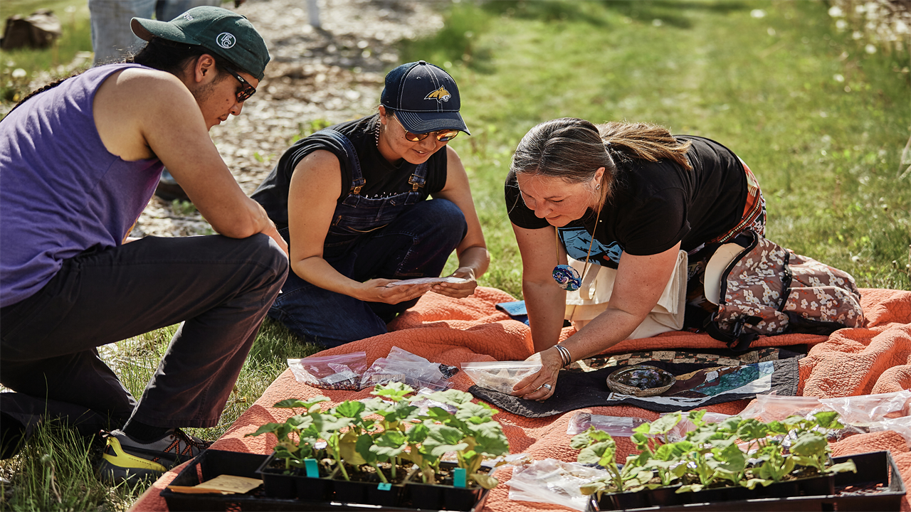 Two women and one man lean over an orange blanket laid in the grass beside a garden, looking at bags of seeds